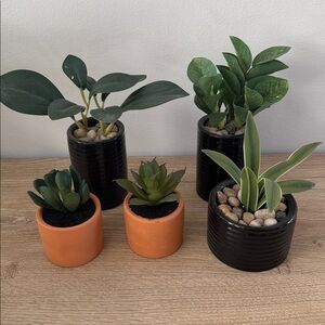 Target Potted Faux Plants — set of five